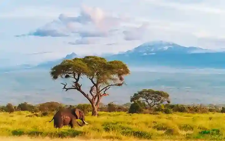 Kenya