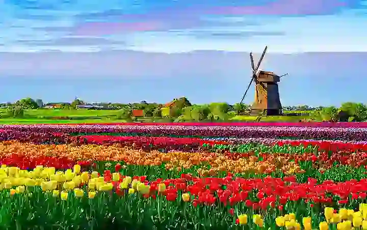 Netherlands